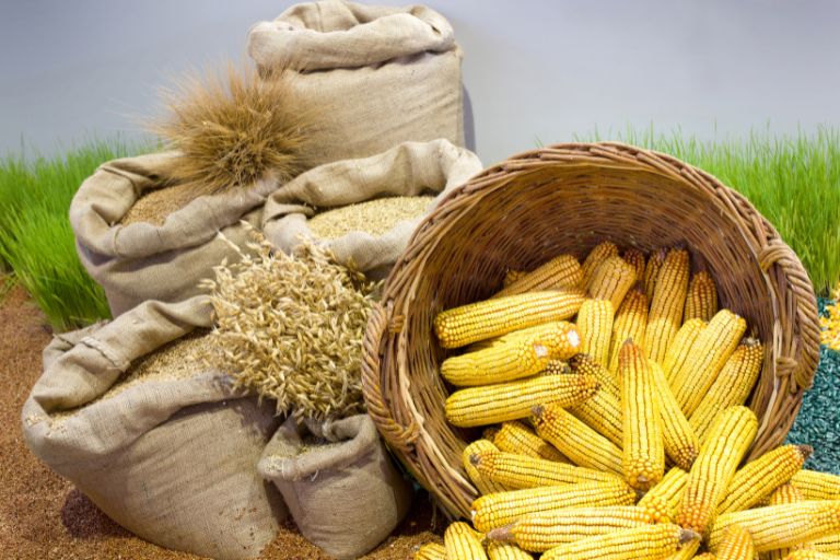 Agricultural Products
